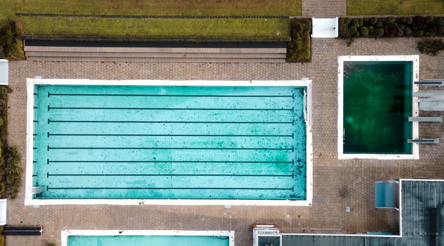 traiter et prévenir l'algue moutarde piscine